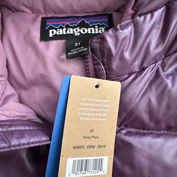 Patagonia Hi-Loft Down Sweater Hoody - Size 3T - New with Tags - Picture 4 of 4